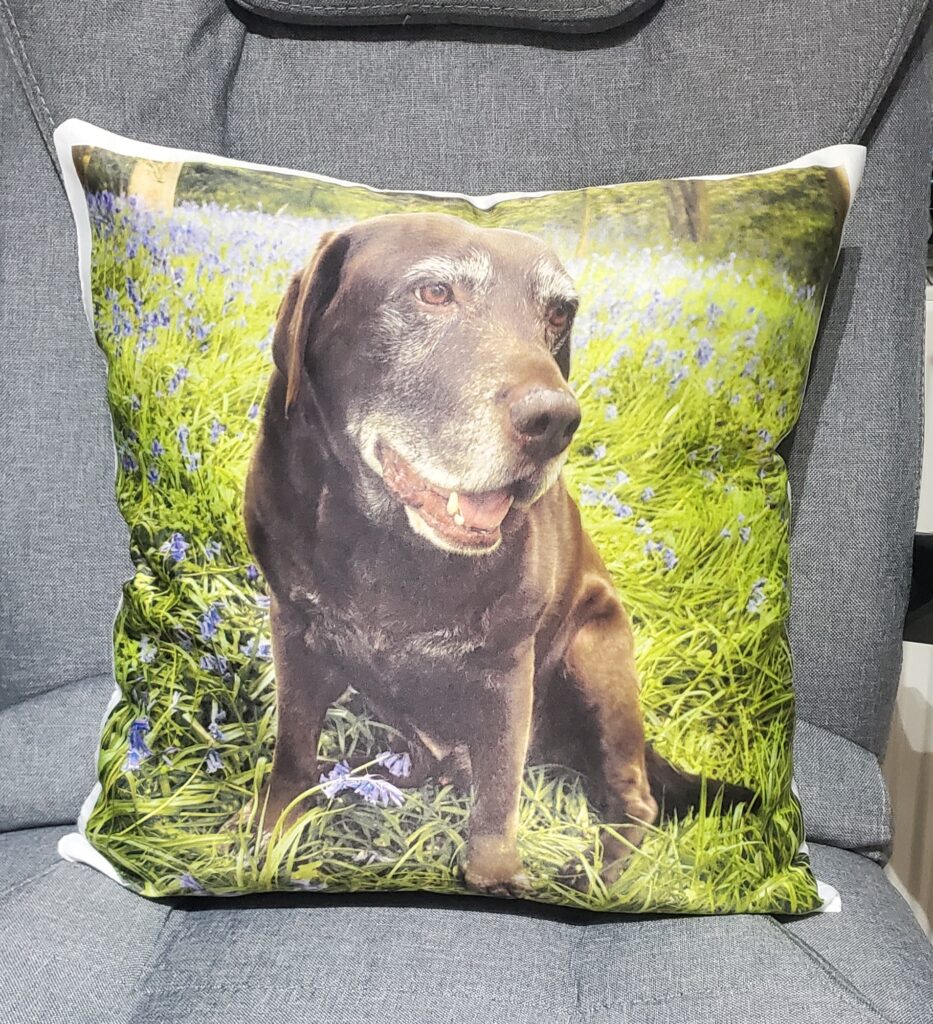 Custom Cozy Pillow design