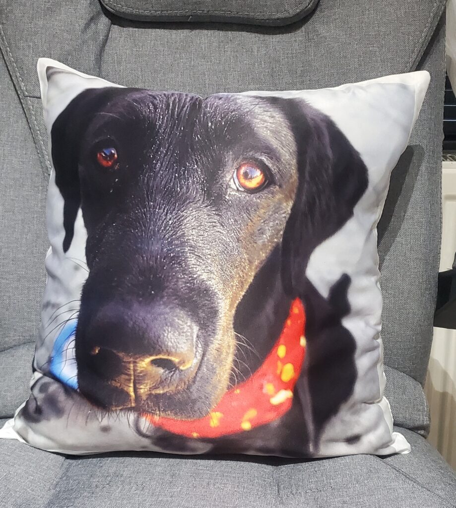 Custom Cozy Pillow design